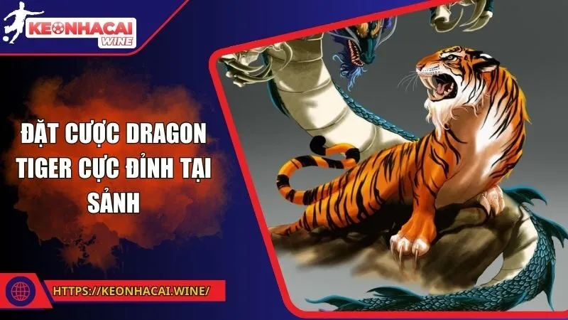 Đặt cược Dragon Tiger cực đỉnh tại sảnh