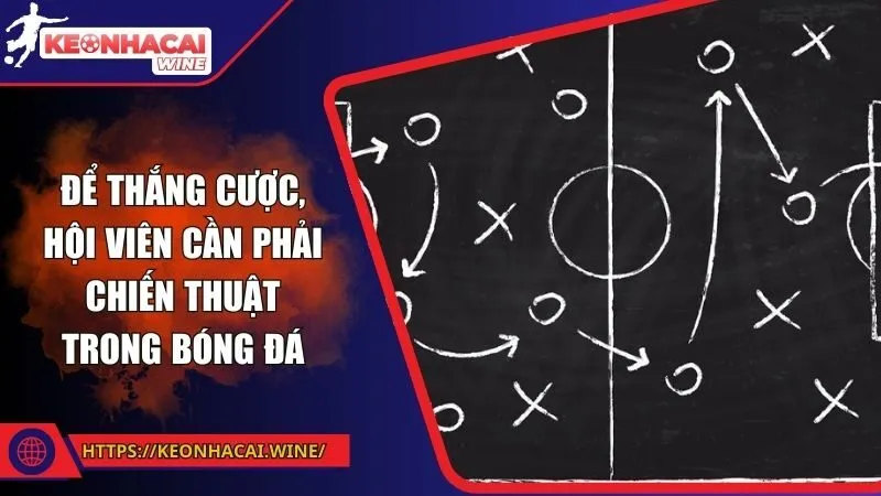 Để thắng cược, hội viên cần phải chiến thuật trong bóng đá