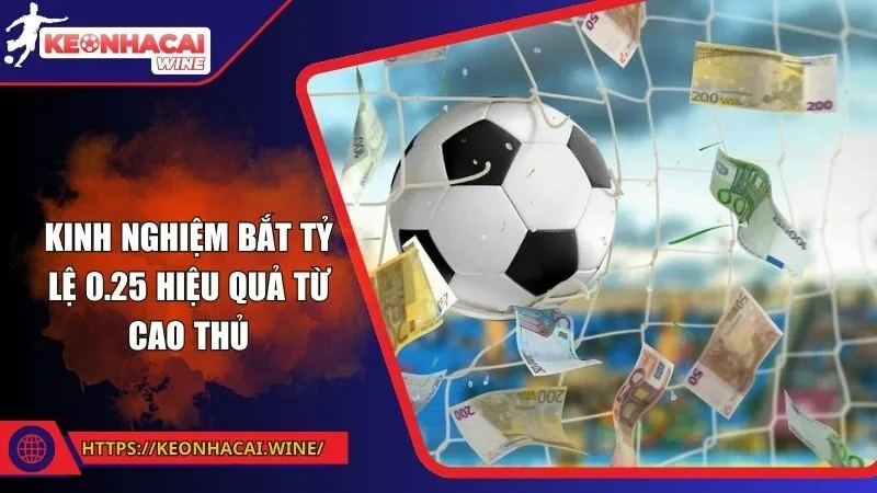 Kinh nghiệm bắt tỷ lệ 0.25 hiệu quả từ cao thủ