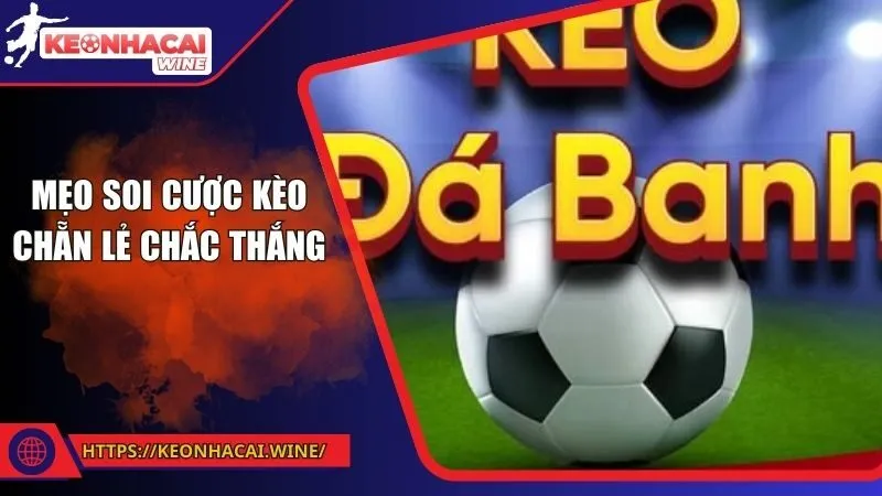 Mẹo soi cược kèo chẵn lẻ chắc thắng