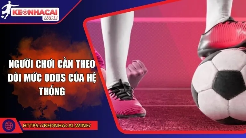 Người chơi cần theo dõi mức odds của hệ thống