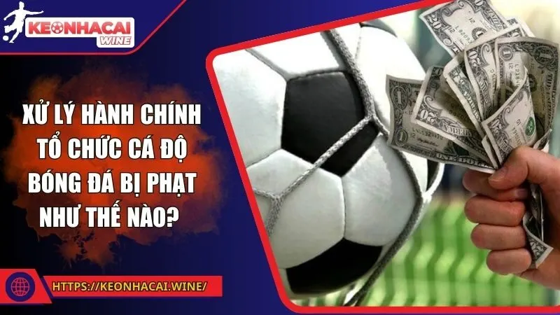 Xử lý hành chính tổ chức cá độ bóng đá bị phạt như thế nào? 